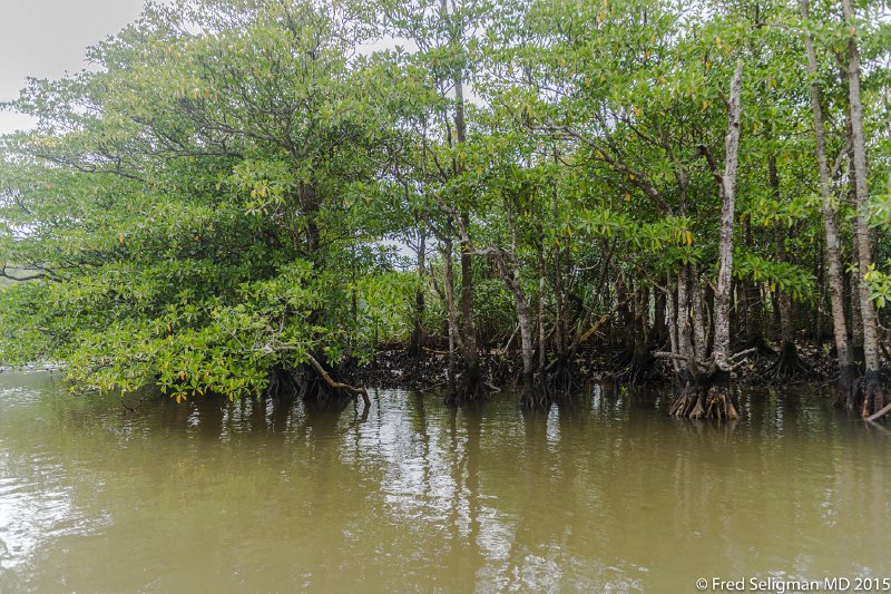 20150322_110756 D4S.jpg - Ishigaki